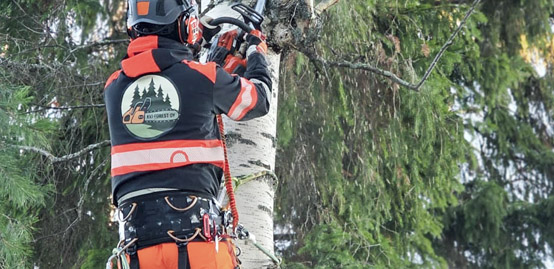 KVJ-FOREST METSURI KIIPEILYKAATO HUSQVARNA