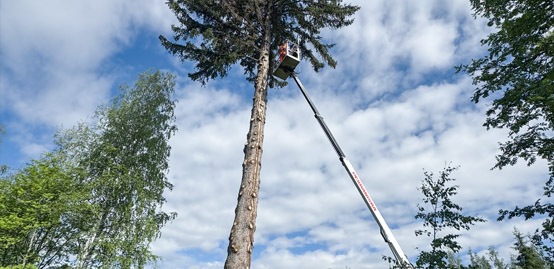 KVJ-FOREST METSURI NOSTOKORI NOSTIN HUSQVARNA