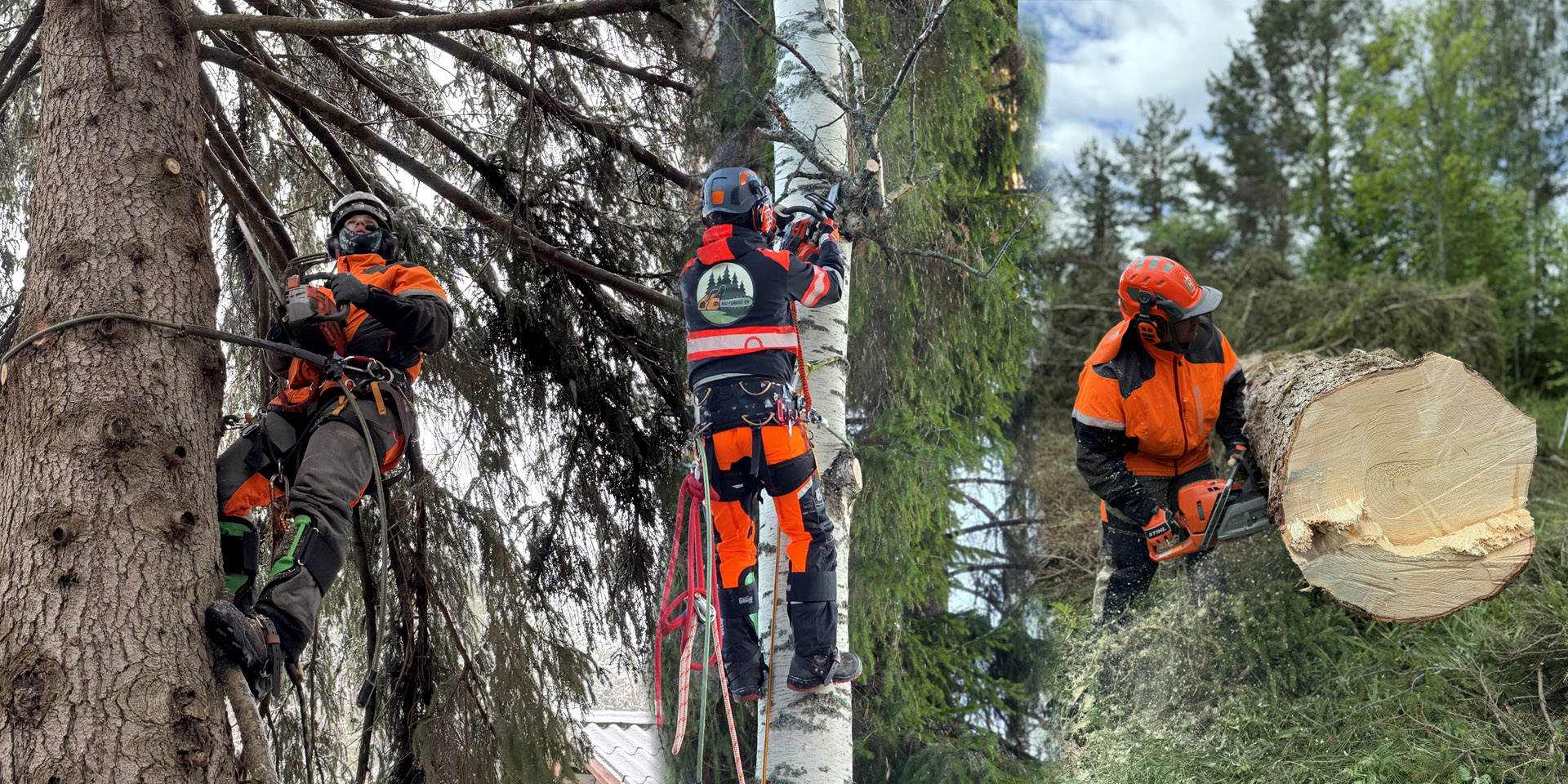 KVJ-FOREST OY METSURI PUUTA KAATUU